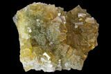 Yellow, Cubic Fluorite Crystal Cluster - Spain #98698-1